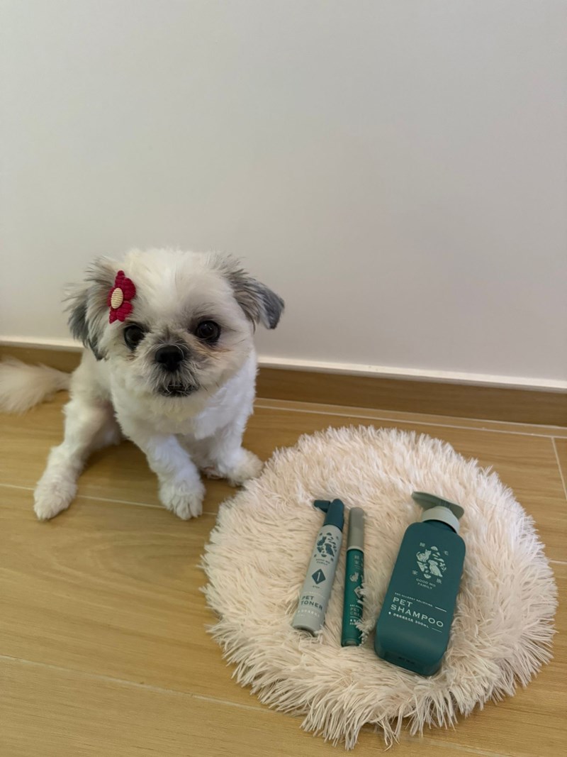 女人知己試用大隊,口碑行銷,部落客行銷,Goodmofamily歸毛家族 寵物肌膚救星組,歸毛家族 寵物肌膚救星,舒敏保濕洗毛乳,護膚噴液,精萃營養霜,博士30年生技專業,給足皮膚營養保護力,無抗生素 無類固醇,神經醯胺,19種綜合胺基酸,榮獲SNQ國家認證,上萬毛爸媽見證,3週幫助皮膚健康,NO.1寵物肌膚口碑霸主,寵物第一護膚領導品牌